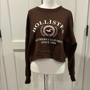 Hollister Cropped Brown Sweatshirt